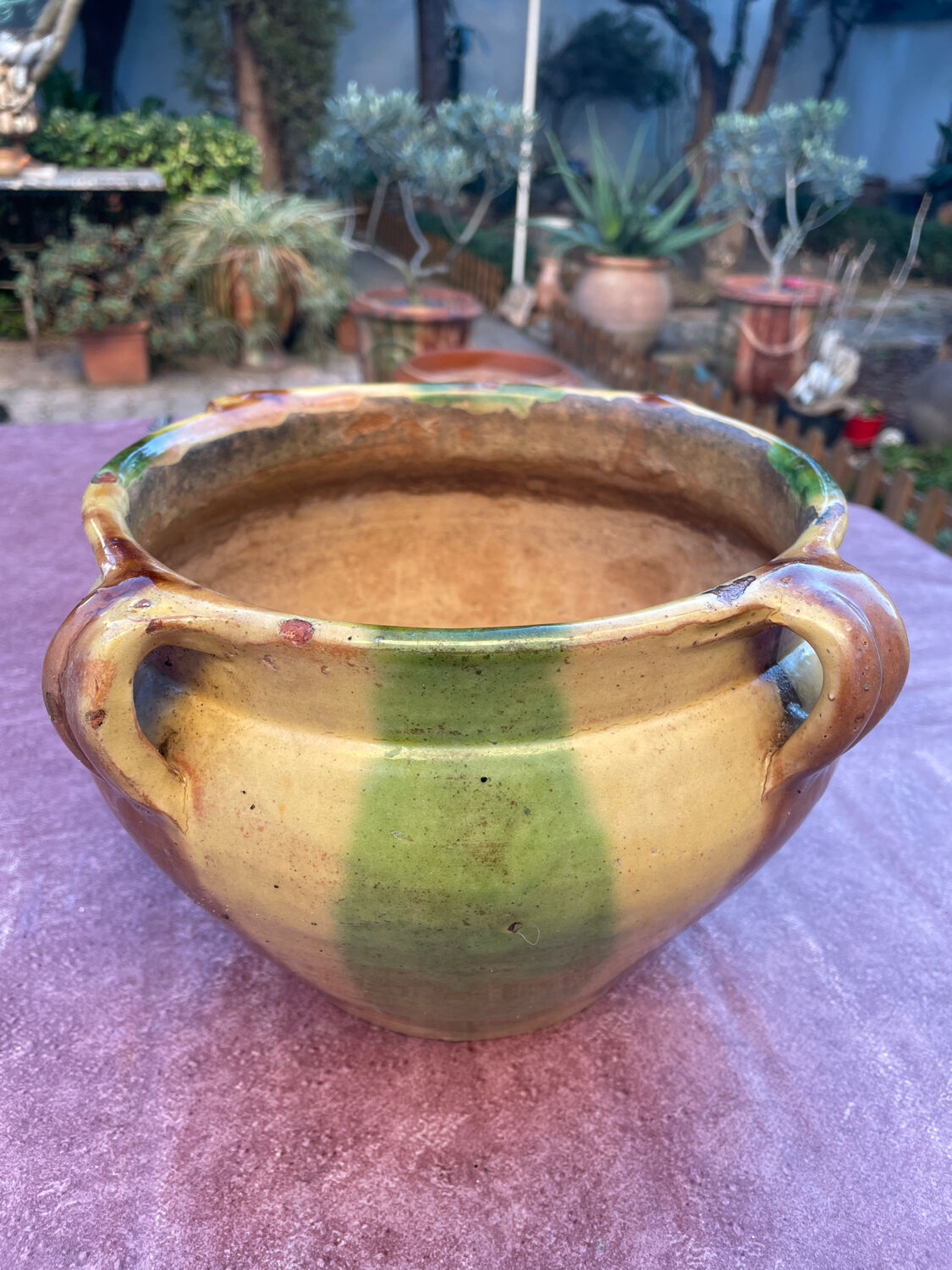 Old terracotta flower pot varnished
