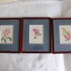 3 botanical illustrations flowers Claude vinçon
