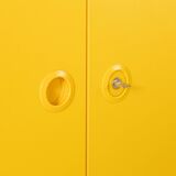 Wardrobe from the Profilsystem collection by Flötotto, 1970s, yellow HPL, beech frame