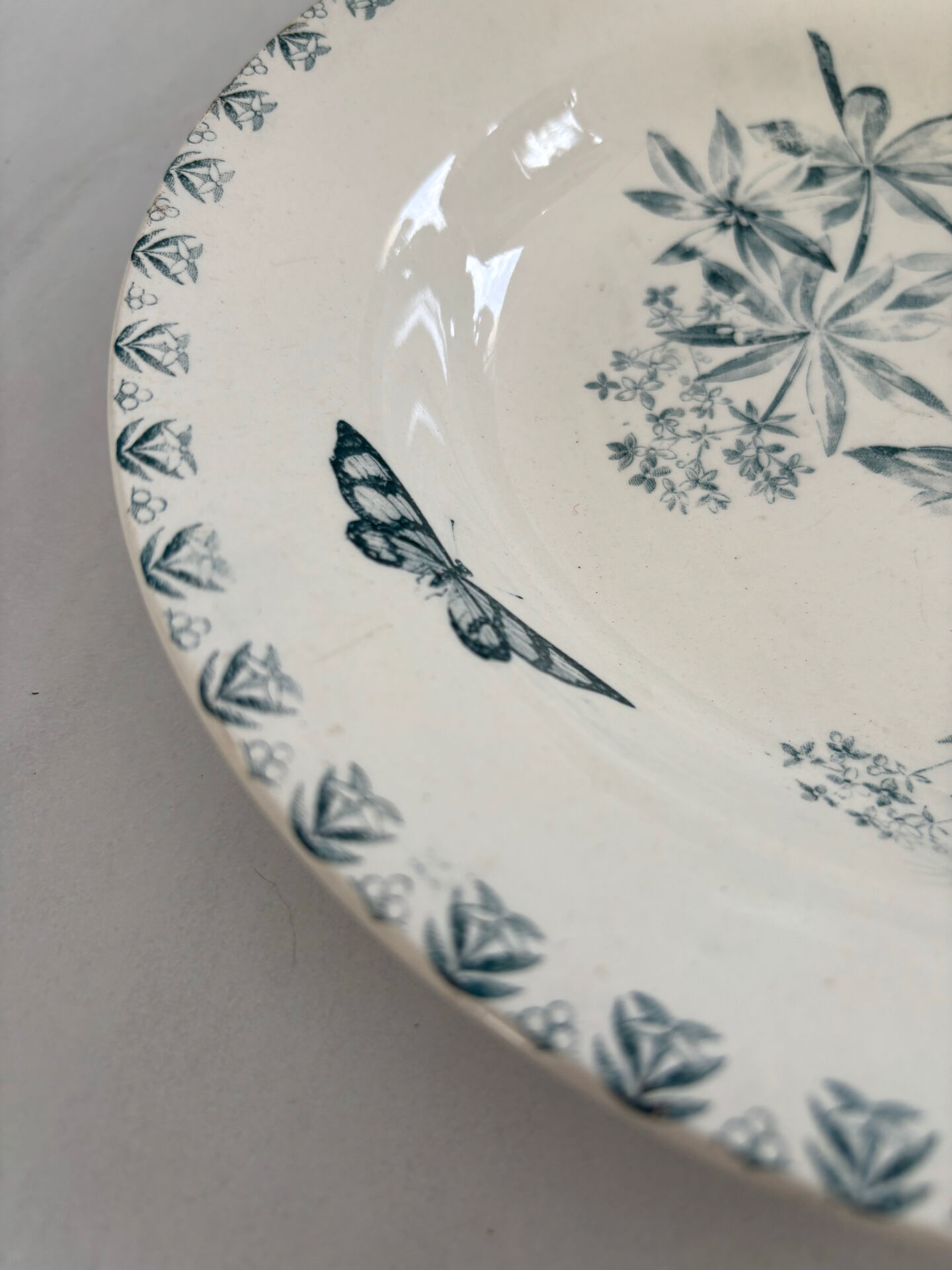 Shallow dish ironstone butterfly pattern Valius model