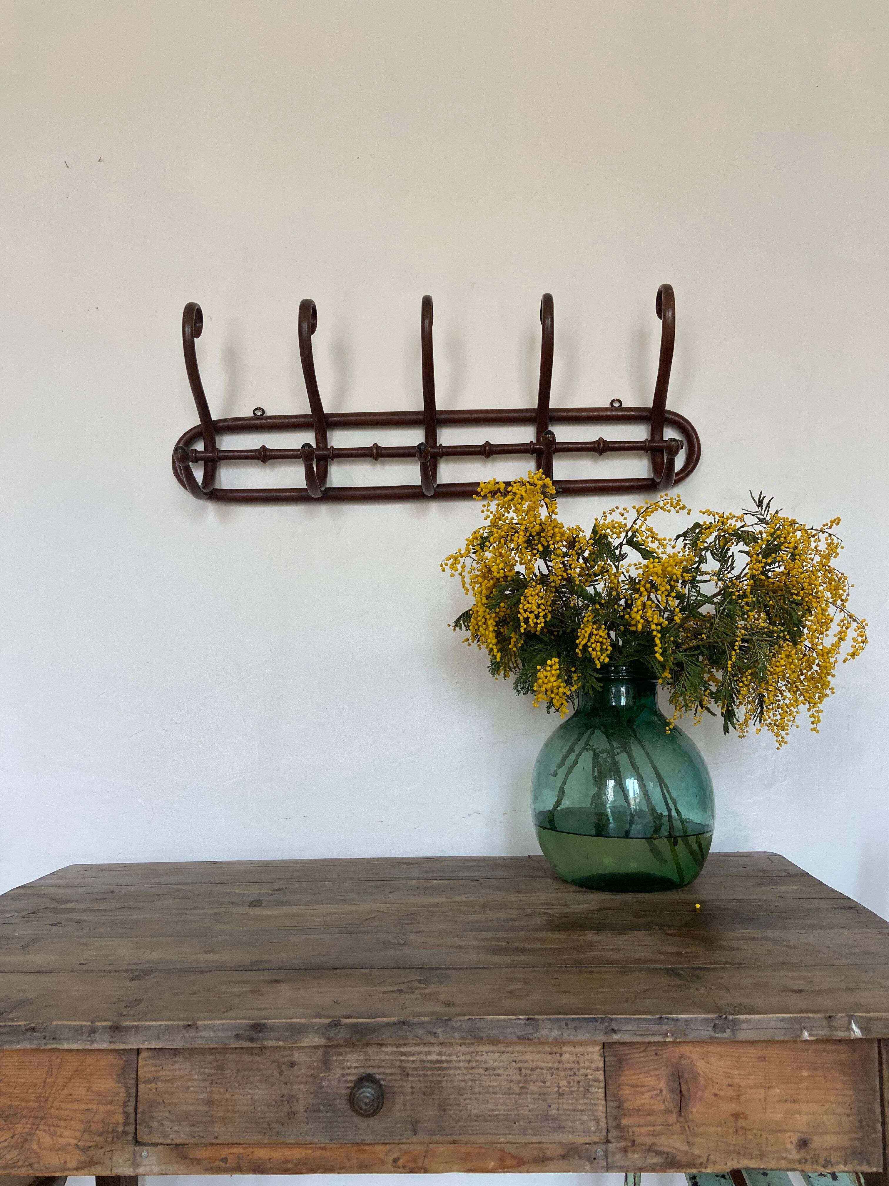 Wall coat rack