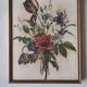 Old golden frame with floral bouquet