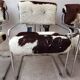 Set of 4 vintage Cucroma armchairs – Guido Faleschini – leather