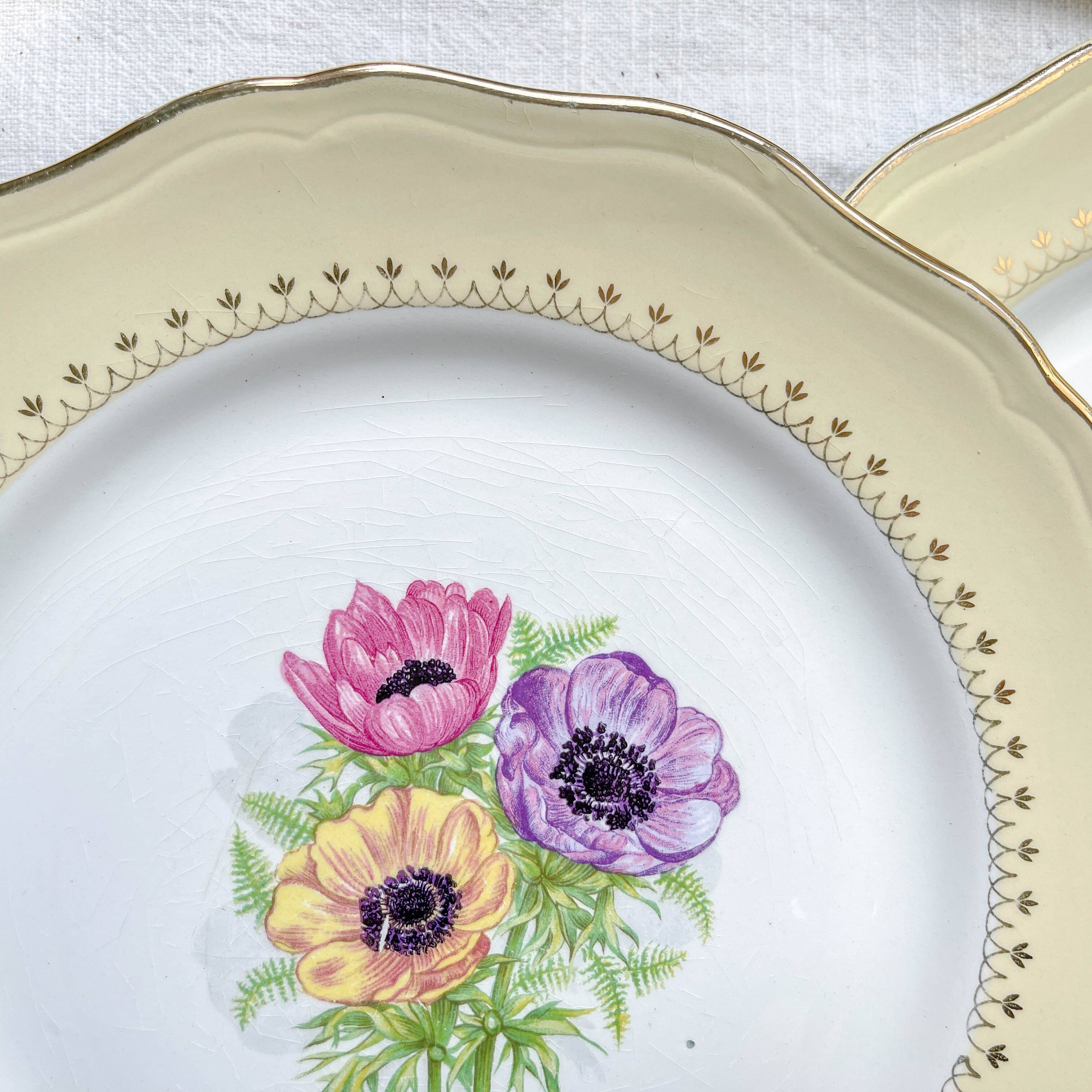6 vintage porcelain dinner plates with white and golden yellow floral pattern L'Amandinoise "Coopélia" - Vintage floral tableware