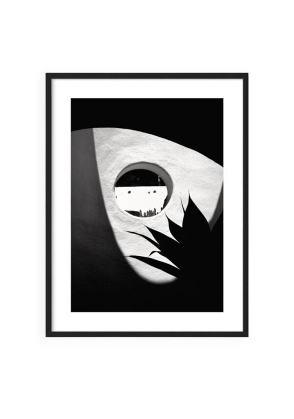 Cactus par Alice Ducheix - Zones Galerie