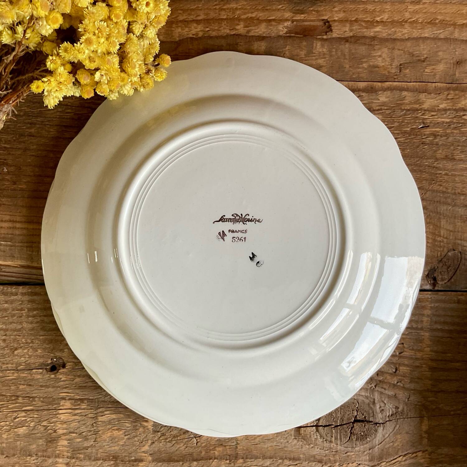 6 Sarreguemines plates