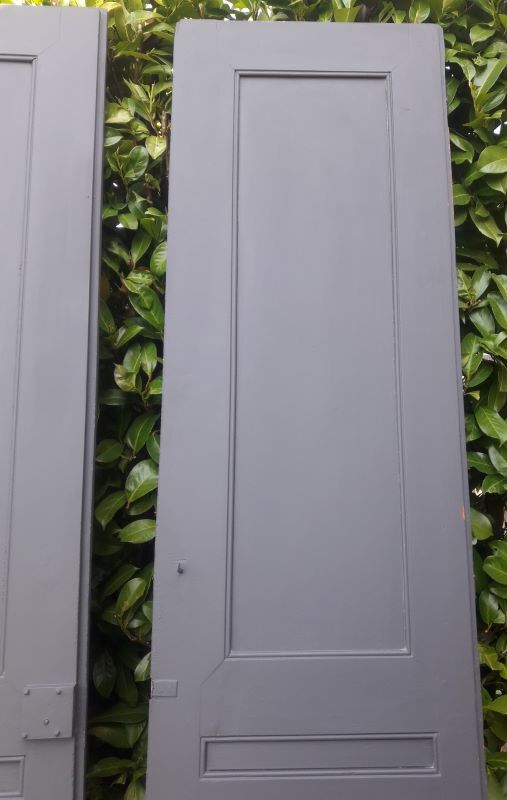 Pair of doors 242,5x116 of antique closet