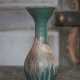 Taxidermy wild boar head, wild boar, hunting trophy, wall decoration.