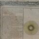 The zodiac and the eclipse, engraving, eighteenth century