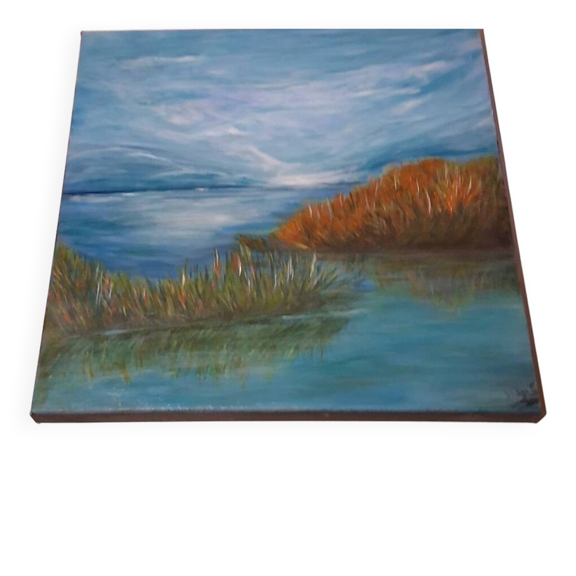 Contemporary painting, original signed and delivered with its certificate.