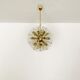 Dandelion Chandelier by Emil Stejnar for Rupert Nikoll