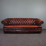 Chesterfield sofa in resistant cowhide, 3 seats