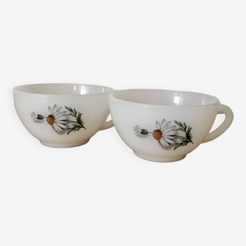 Vintage lot de deux tasses Arcopal Marguerites