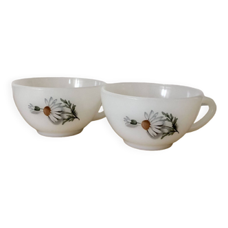 Vintage set of two Arcopal Marguerites cups