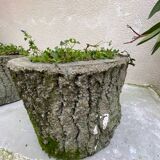 Pair of tree trunk cement planters