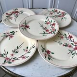 5 flat plates Digoin Sarreguemines model Aigues-Vives hand painted years 30-40