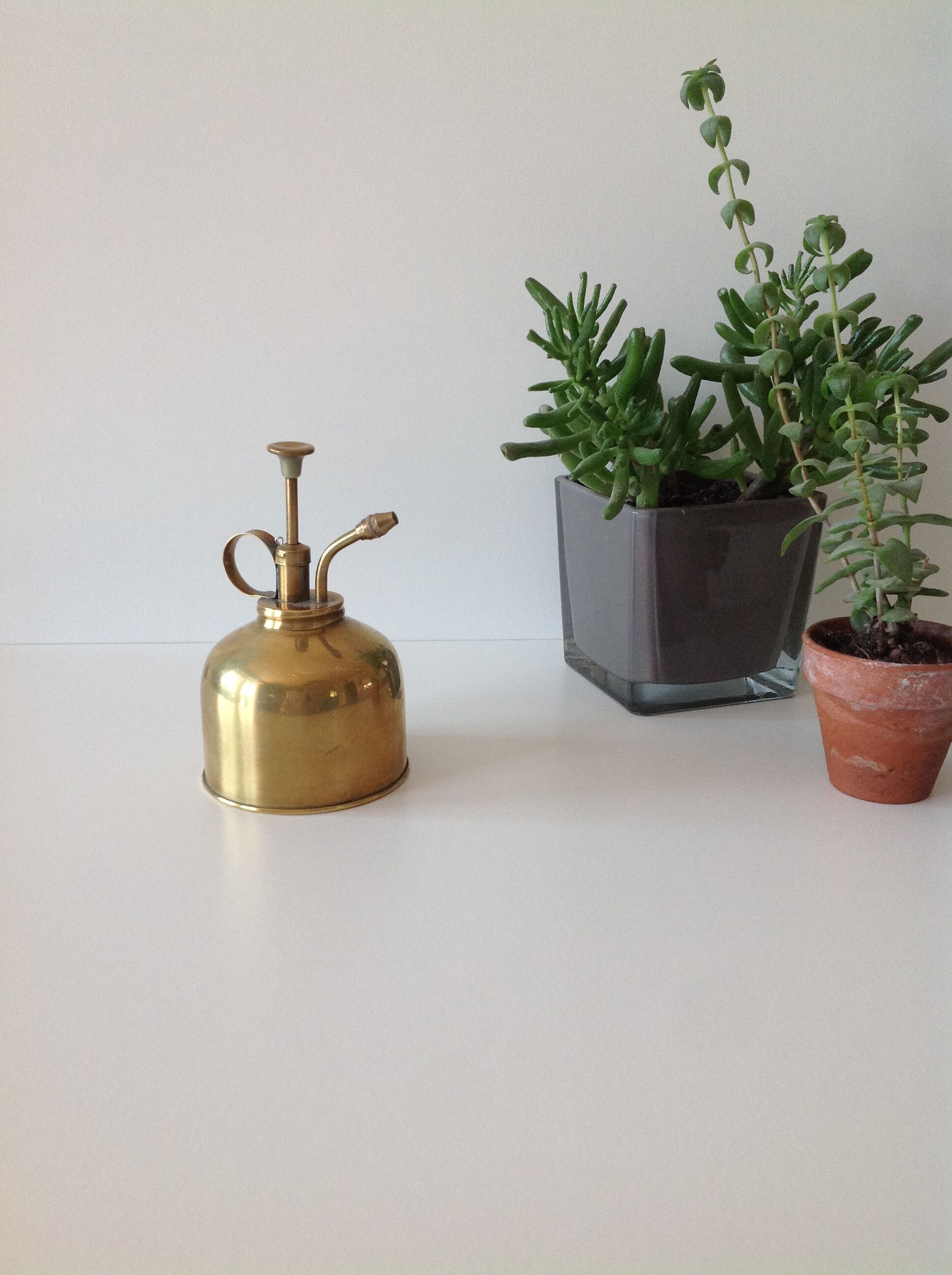 Atomizer for plant in brass