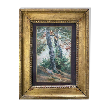 19th century watercolor painting "Trees" signed + period frame and glass