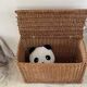 Vintage Rattan Chest Basket