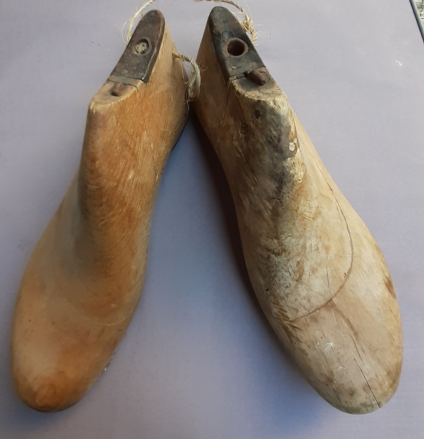 Shoe trees form with shoe