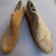 Shoe trees form with shoe