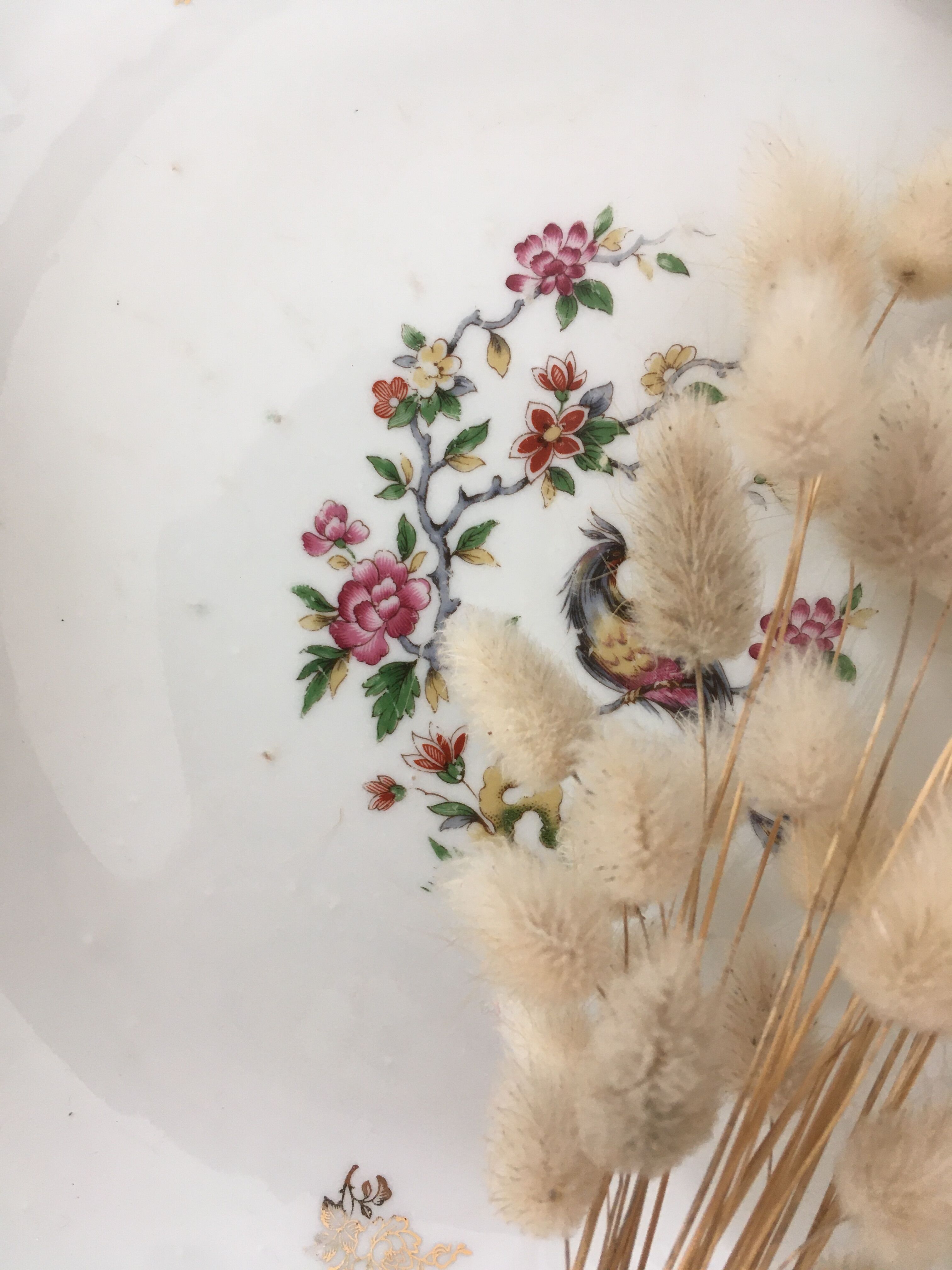 Hollow dish porcelain bird of paradise