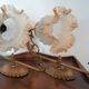 Paire d’appliques murales