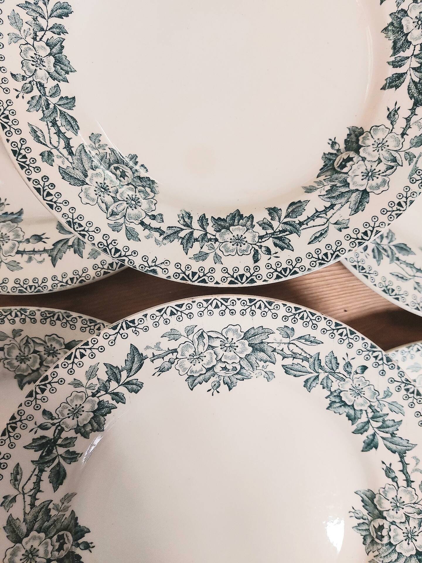 6 flat plates in ironstone - Guadeloupe model