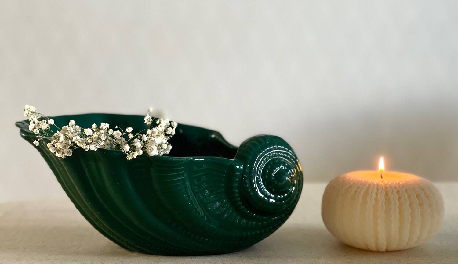 Cachepot, shell vase