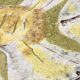 Large Earthenware Artistic Wall Panel or Centerpiece , Italy