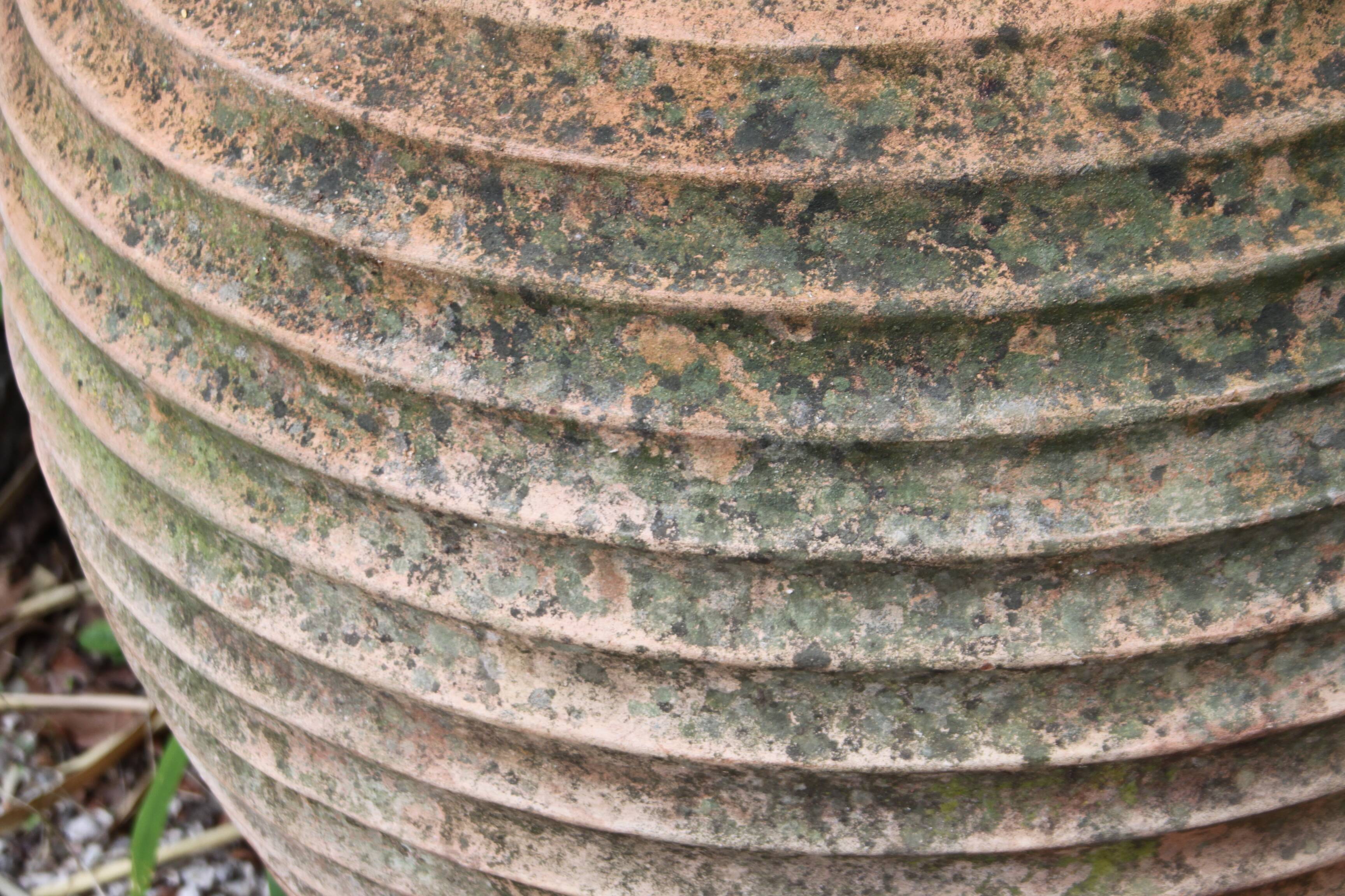 Old and big terracotta jar