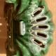 Antique enamelled cast iron soap dish in the shape of a shell (fir green)