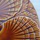 Scallop shell plates St Jacques by SECLA Portugal Barbotine