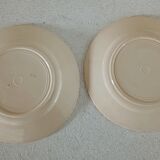 Two iron earth plates decorated with rose