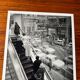 1x Paris Department Store – Saint-Germain, 1956