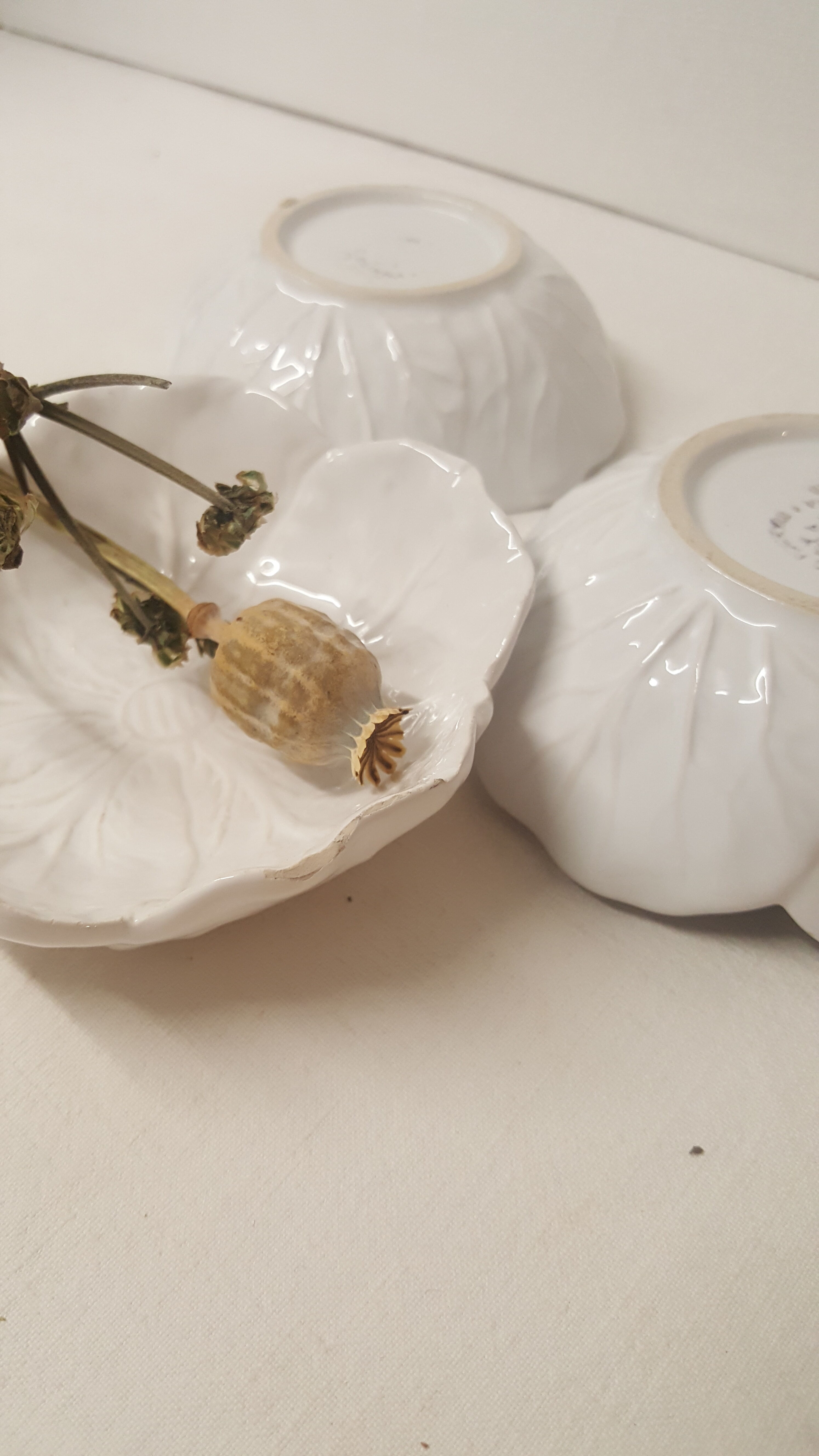 3 white ceramic flower cups