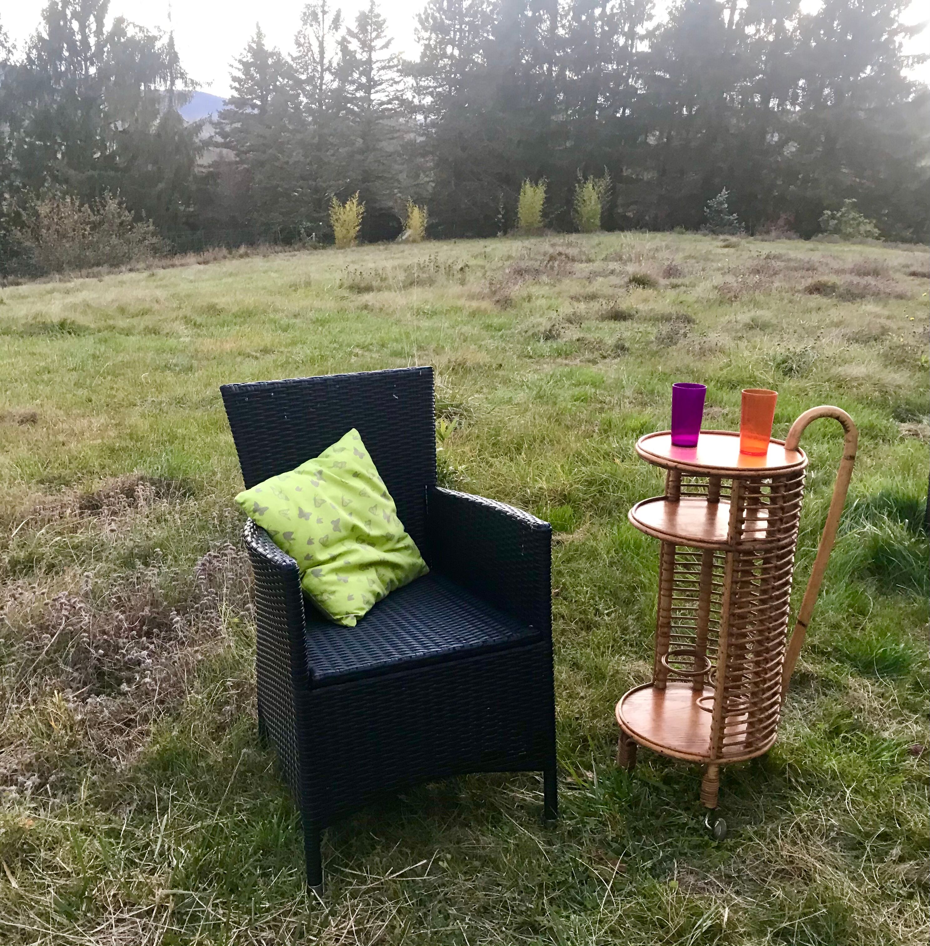 Rolling 50s rattan bar