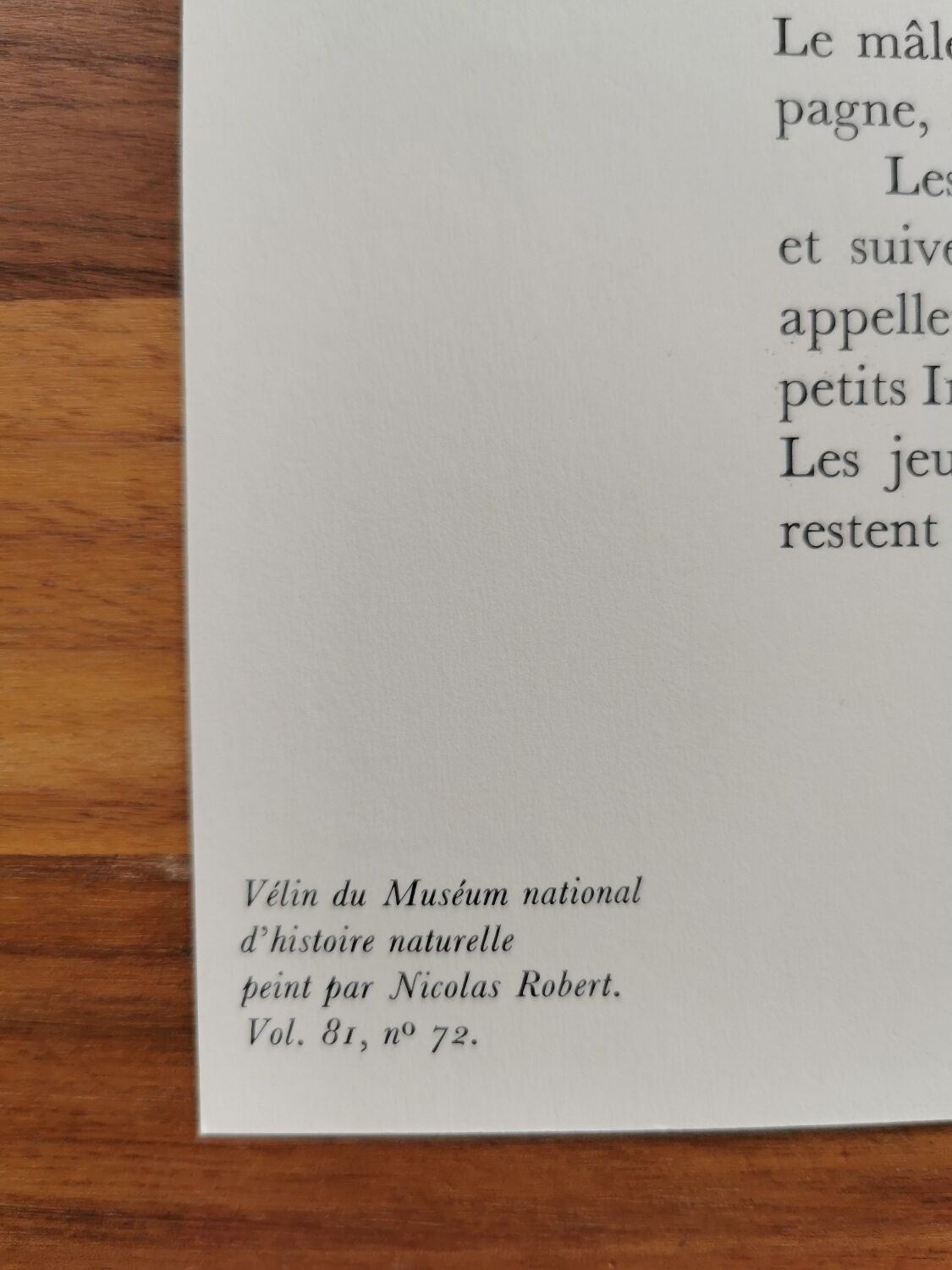 Ancient zoological plate