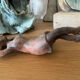 Sculpture terre cuite