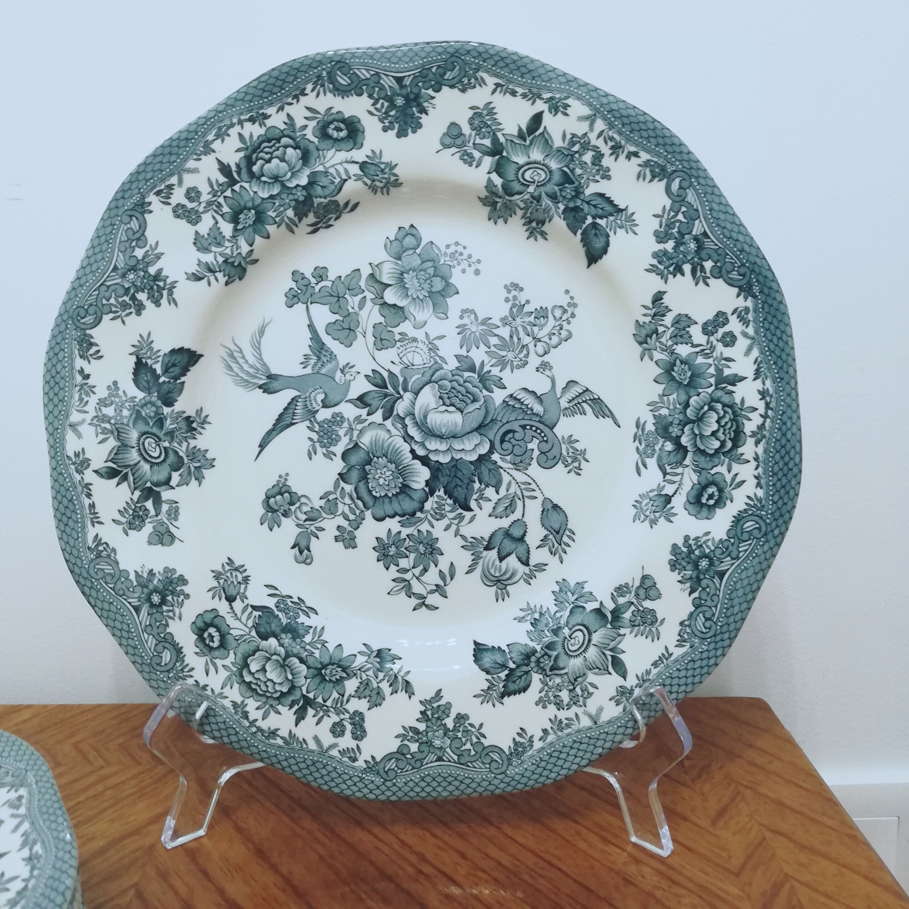 6 earthenware plates Enoch Wedgewood décor "asiatic pheasants"