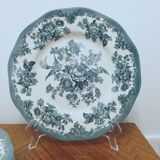 6 assiettes en faïence Enoch Wedgewood décor "asiatic pheasants"