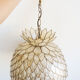 Petal hanging of mother-of-Pearl and brass