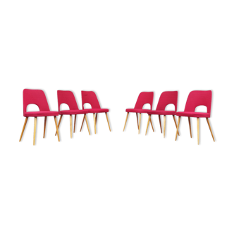 Lot of 6 Oswald Haerdtl chairs for Ton