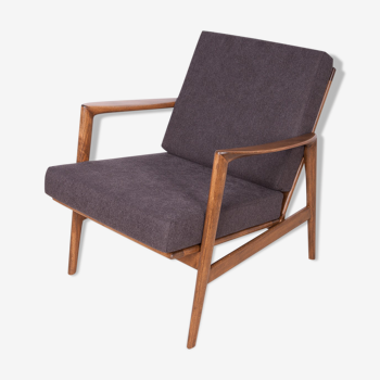 Model 300-139 Armchair from Swarzędzka Factory, 1960s