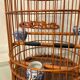 Ancienne cage à oiseaux en bois et rotin