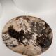 Very large empty pocket or petrified wooden flat