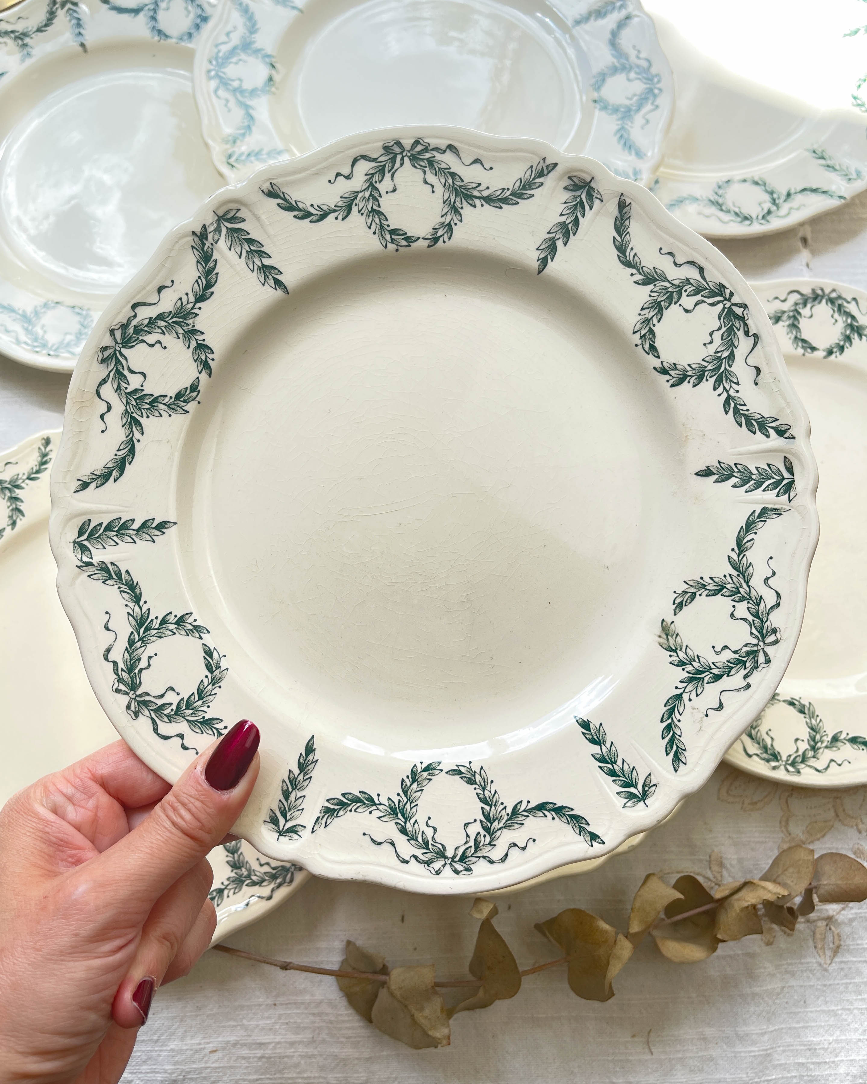 7 plates Terre de fer Longchamp model Villey