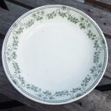 Dish badonviller model champagne