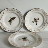 Set of 8 Sparrows of Paris plates