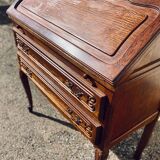 Old donkey's office secretary